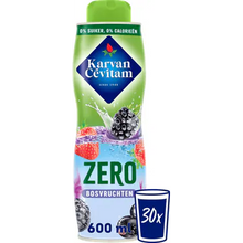 Karvan Cévitam Zero Bosvruchten Siroop