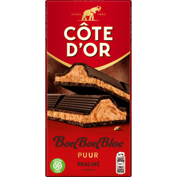 Cote d'Or Bonbonbloc Puur