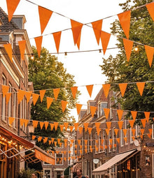 Oranje Vlaggenlijn - 30 meter